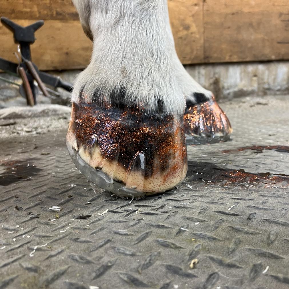 Glue On Shoe Accessories