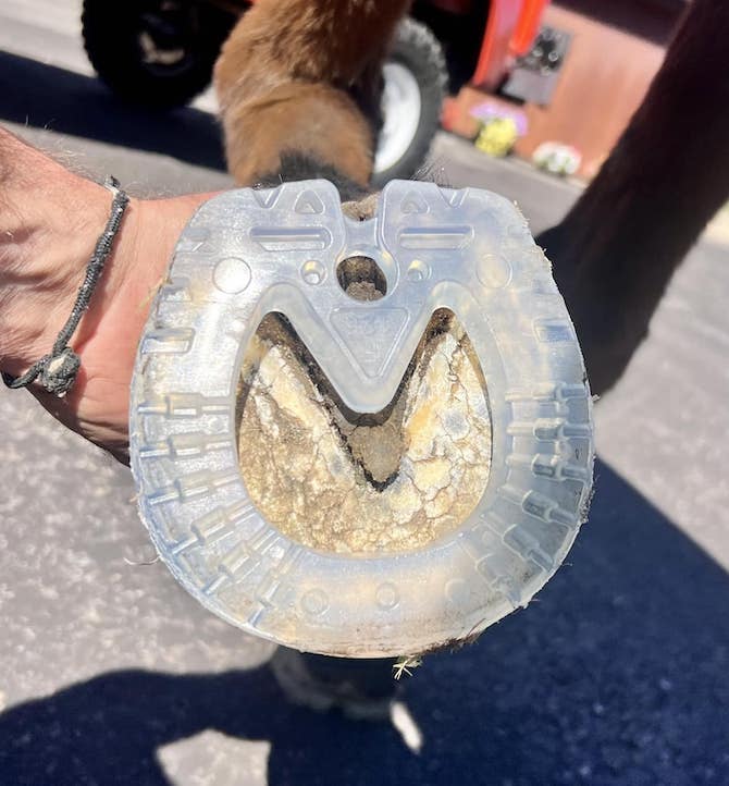 Clearance - Easyshoe Speed