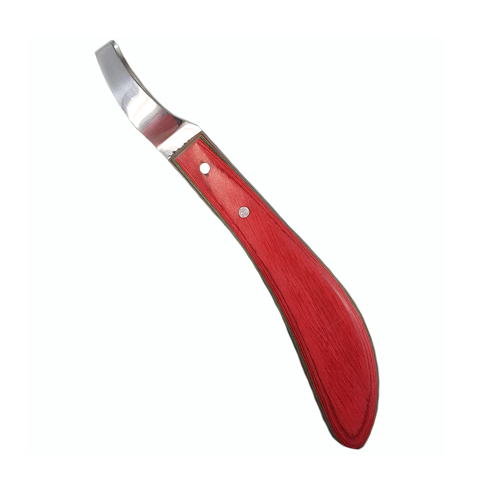Clearance - Le Czar Long Loop Knife