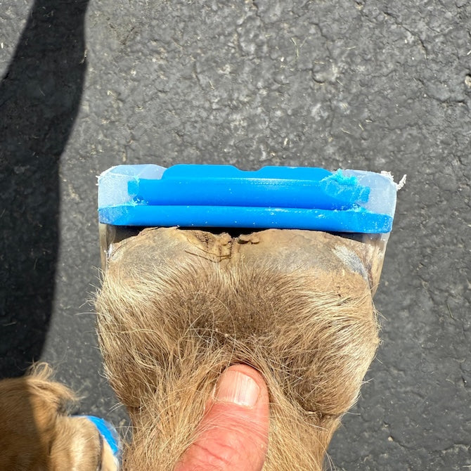 Easyshoe One Wedge