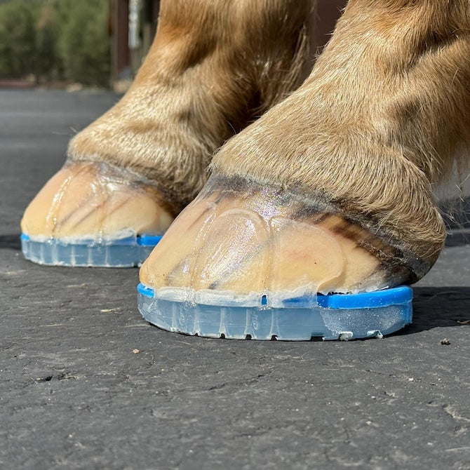 Easyshoe One Wedge