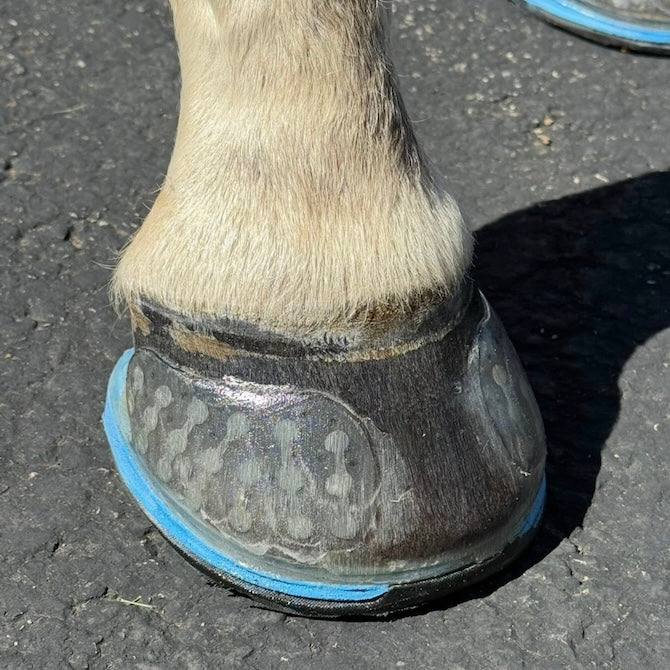 Easyshoe Triple D