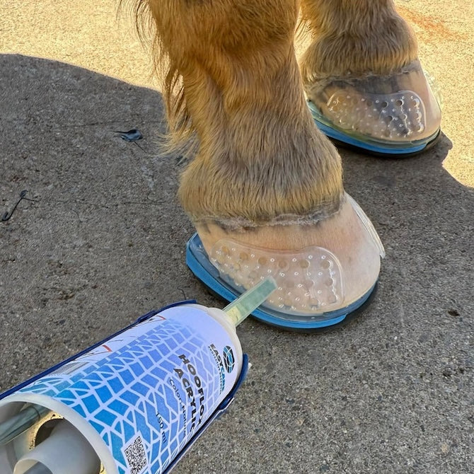 Easyshoe Triple D